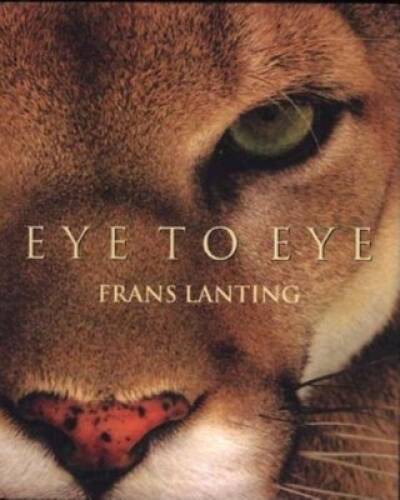 Eye intimate - to, eye: